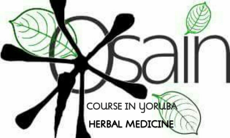 Mini Course in Osain Herbal Medicine