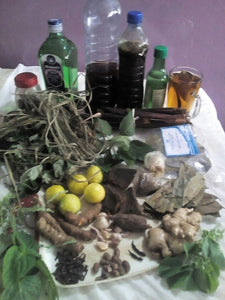 10 Herbal Medicines in Traditional African Medicine: 
In the treatment of Diabetes, High Blood Pressure, and Arthritis